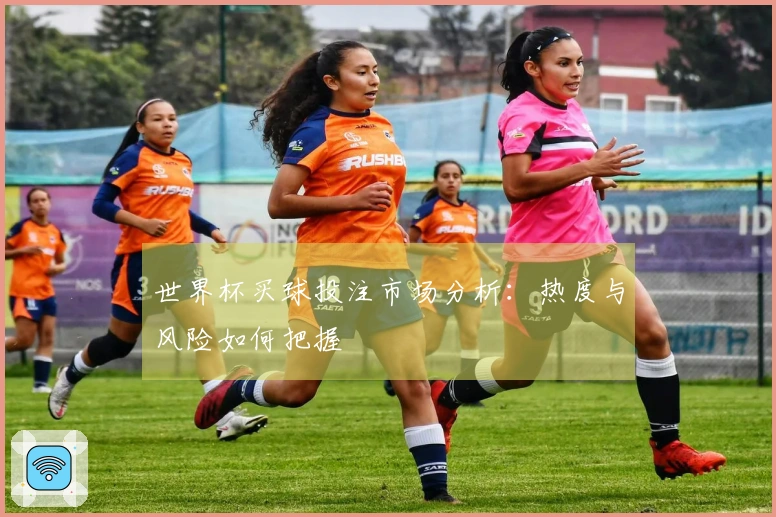 世界杯买球投注市场分析：热度与风险如何把握