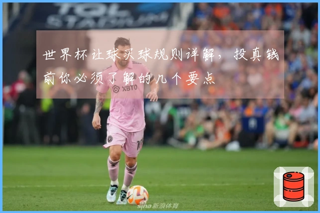 世界杯让球买球规则详解，投真钱前你必须了解的几个要点