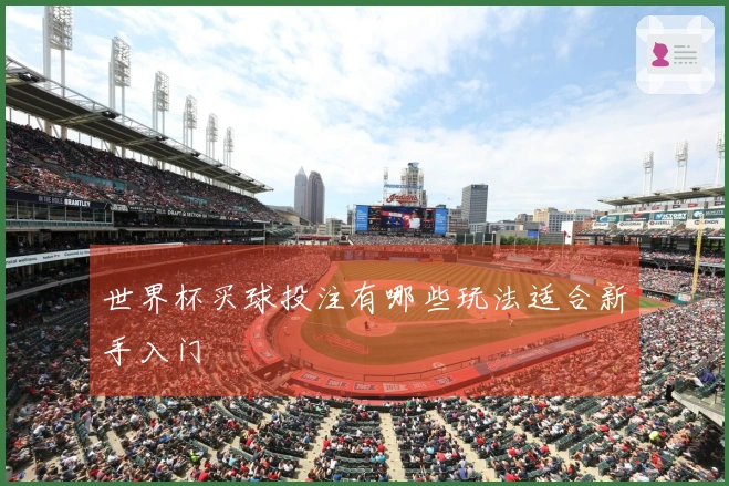 世界杯买球投注有哪些玩法适合新手入门