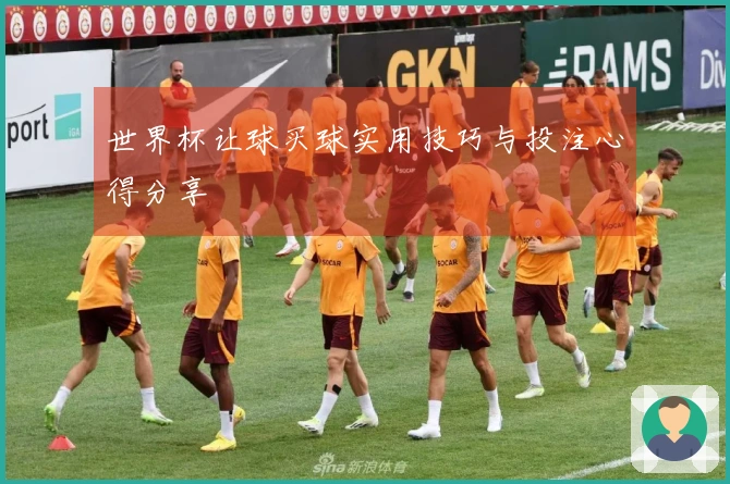 世界杯让球买球实用技巧与投注心得分享